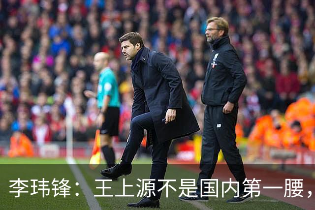 李玮锋:王上源不是国内第一腰,那谁是?吴曦、李源一还是另有其人